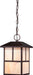 Nuvo Lighting - 60-5674 - One Light Hanging Lantern - Tanner - Claret Bronze