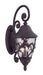 Acclaim Lighting - 39222BC - Three Light Outdoor Wall Mount - Capri - Black Coral