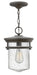 Hinkley - 1622KZ - One Light Hanging Lantern - Hadley - Buckeye Bronze