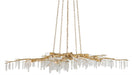 Currey and Company - 9000-0040 - Ten Light Chandelier - Aviva Stanoff - Washed Lucerne Gold/Natural