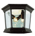 Trans Globe Imports - 4904 BK - Three Light Flushmount Lantern - San Marcos - Black