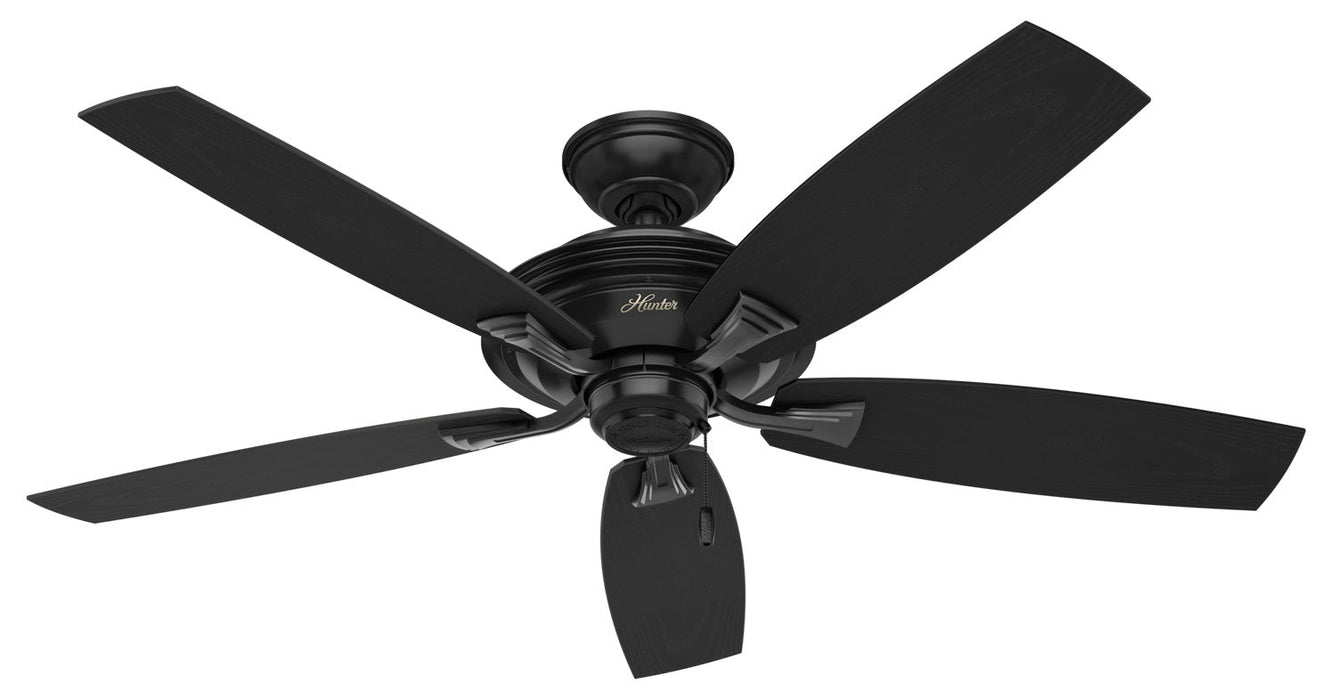 Hunter 52" Rainsford Ceiling Fan with Pull Chains