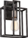 Nuvo Lighting - 60-5856 - One Light Wall Sconce - Lake - Iron Black / Brushed Nickel Accents