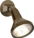 Nuvo Lighting - SF77-494 - One Light Floodlight - Bronze