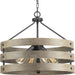 Progress Lighting - P500023-143 - Four Light Pendant - Gulliver - Graphite