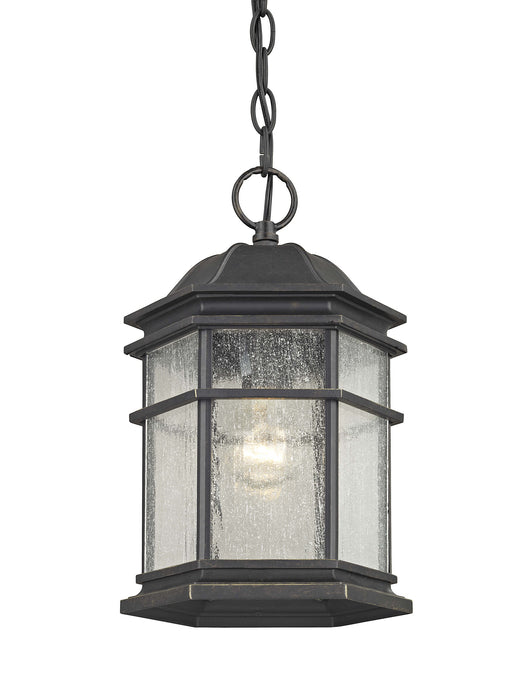 Dolan Designs - 9232-68 - One Light Outdoor Hanging Lantern - Barlow - Winchester