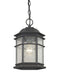 Dolan Designs - 9232-68 - One Light Outdoor Hanging Lantern - Barlow - Winchester