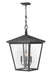Hinkley - 1428DZ - Four Light Hanging Lantern - Trellis - Aged Zinc