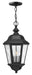 Hinkley - 1672BK-LL - LED Hanging Lantern - Edgewater - Black