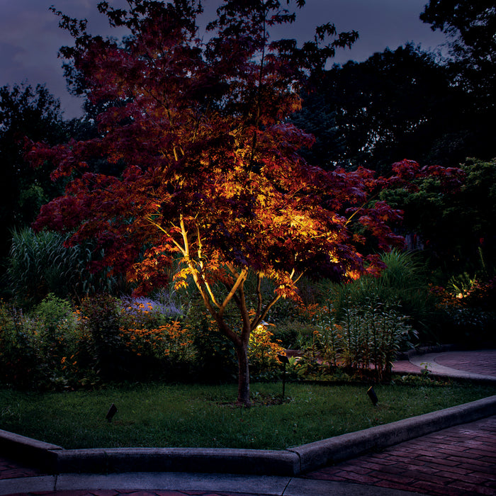 LED Landscape Accent from the Landscape Led collection in Textured Architectural Bronze finish