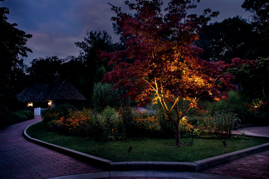LED Landscape Accent from the Landscape Led collection in Textured Architectural Bronze finish