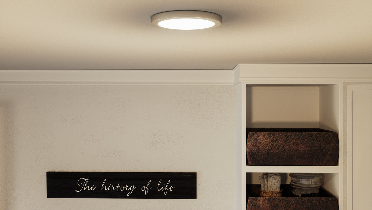 LED Flush Mount from the Outskirts collection in Brushed Nickel finish
