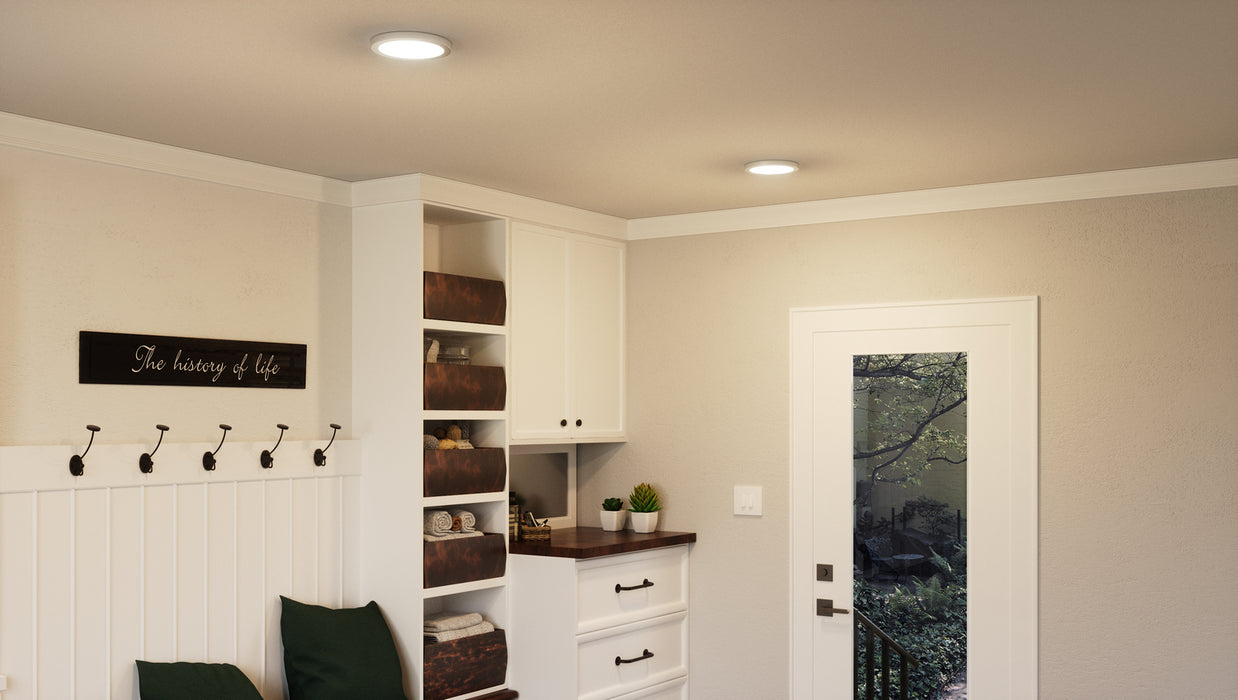 LED Flush Mount from the Outskirts collection in Brushed Nickel finish