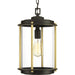 Progress Lighting - P550022-129 - One Light Hanging Lantern - Laine - Architectural Bronze