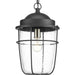 Progress Lighting - P550025-031 - One Light Hanging Lantern - Holcombe - Black