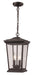 Trans Globe Imports - 50774 BK - Two Light Hanging Lantern - Black