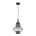 ELK Home - 57173/1 - One Light Outdoor Hanging Lantern - Onion - Aged Zinc