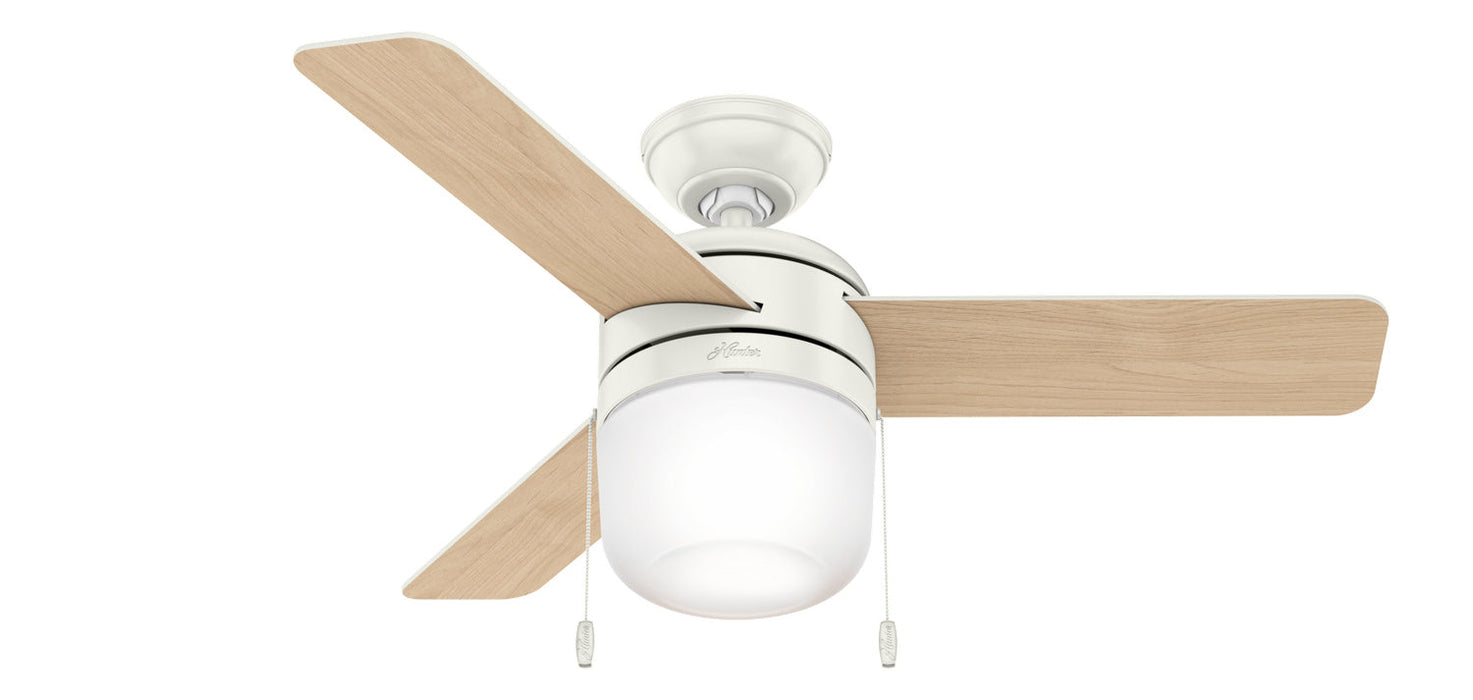 Hunter 42" Acumen Ceiling Fan with LED Light Kit and Pull Chains