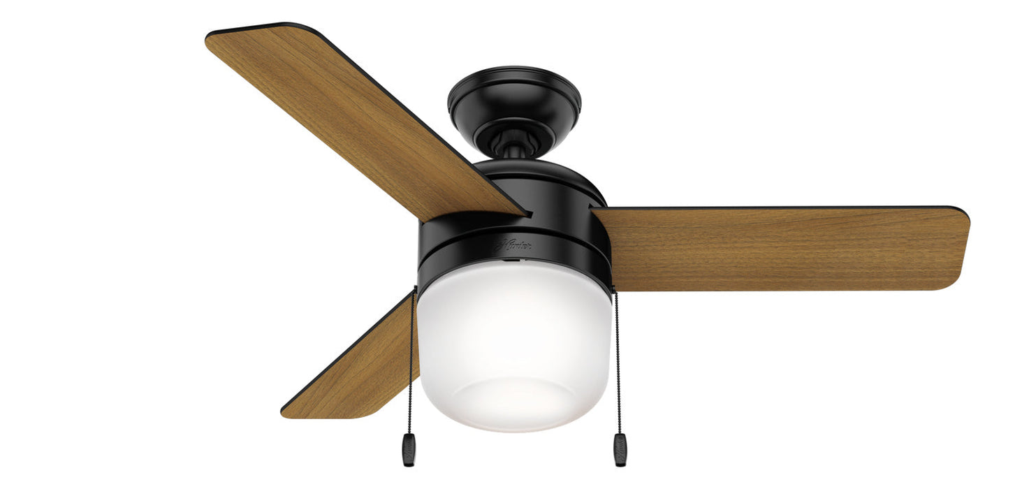 Hunter 42" Acumen Ceiling Fan with LED Light Kit and Pull Chains