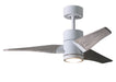 Matthews Fan Company - SJ-WH-BW-42 - 42``Ceiling Fan - Super Janet - Gloss White
