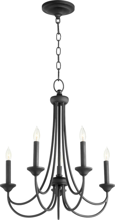 Five Light Chandelier from the Brooks collection in Noir finish