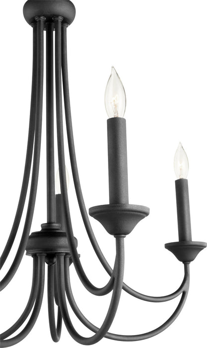 Five Light Chandelier from the Brooks collection in Noir finish