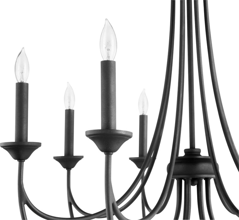 Eight Light Chandelier from the Brooks collection in Noir finish