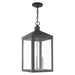Livex Lighting - 20587-76 - Three Light Outdoor Pendant - Nyack - Scandinavian Gray