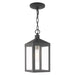 Livex Lighting - 20591-76 - One Light Outdoor Pendant - Nyack - Scandinavian Gray