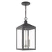 Livex Lighting - 20593-76 - Three Light Outdoor Pendant - Nyack - Scandinavian Gray