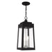 Livex Lighting - 20857-04 - Three Light Outdoor Pendant - Oslo - Black