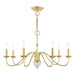 Livex Lighting - 52167-02 - Seven Light Chandelier - Windsor - Polished Brass