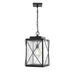 Millennium - 2615-PBK - One Light Outdoor Hanging Lantern - Robinson - Powder Coat Black