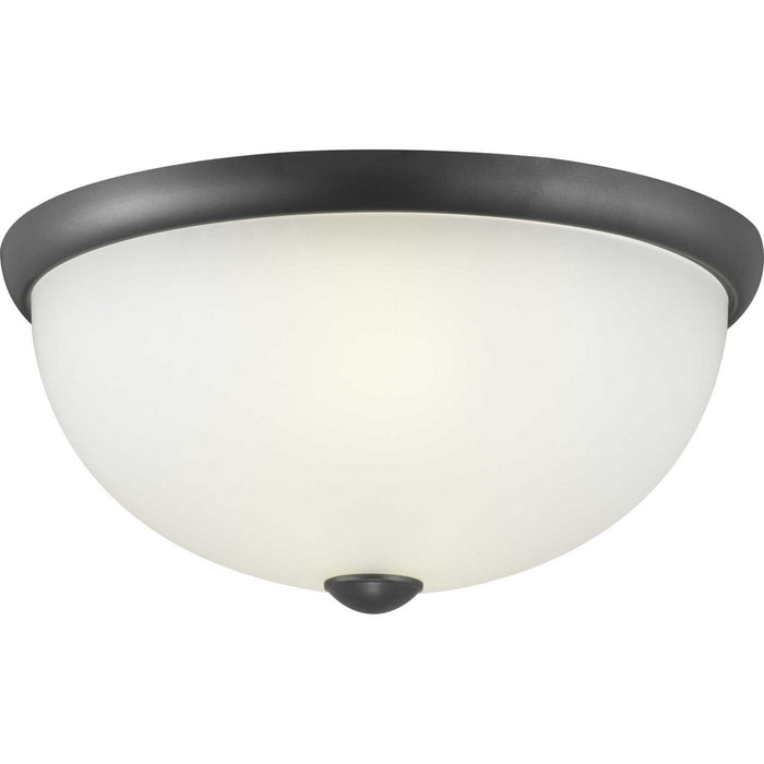 Two Light Flush Mount from the Glass Domes collection in Graphite finish