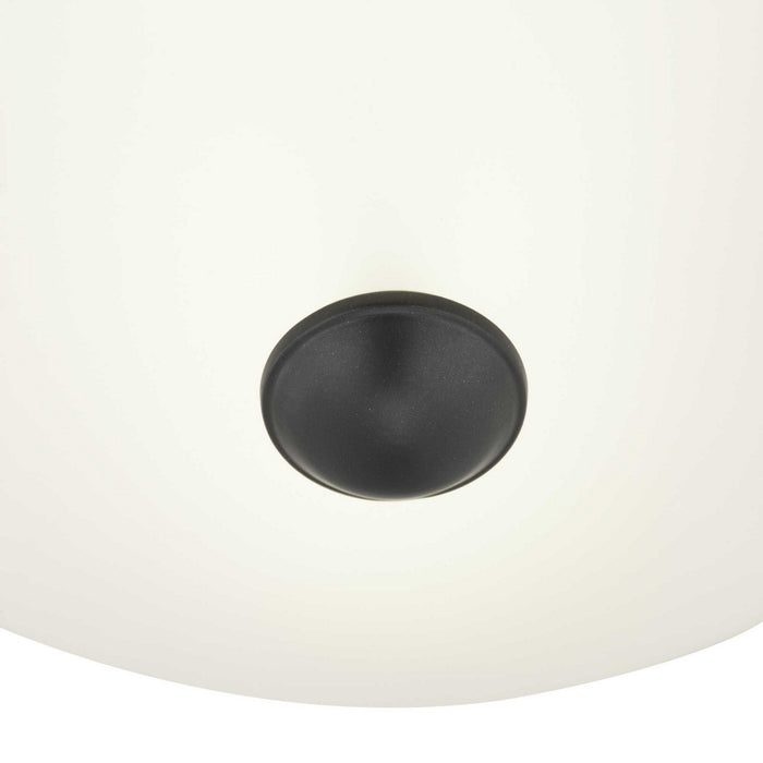 Two Light Flush Mount from the Glass Domes collection in Graphite finish