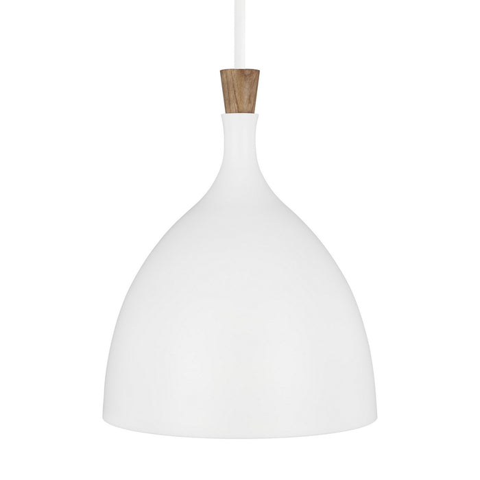 One Light Pendant from the DARWIN collection in Matte White finish