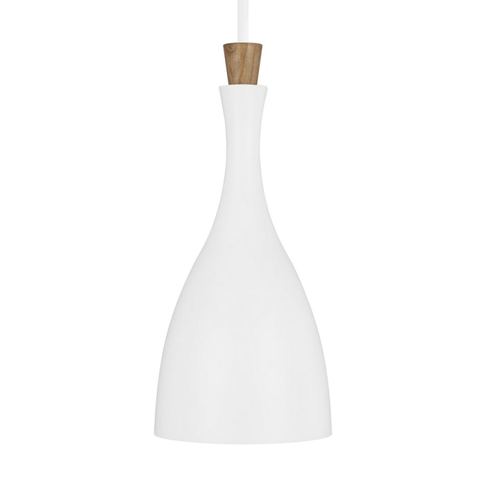 One Light Pendant from the DARWIN collection in Matte White finish
