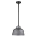 Acclaim Lighting - 1655GY - One Light Convertible Pendant - Barnes - Gray