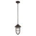Acclaim Lighting - 1706ORB - One Light Convertible Mini-Pendant - Dylan - Oil-Rubbed Bronze