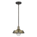 Acclaim Lighting - 1736ATB - One Light Convertible Pendant - Burry - Antique Brass
