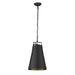 Acclaim Lighting - TP10035BK - One Light Pendant - Faza - Matte Black