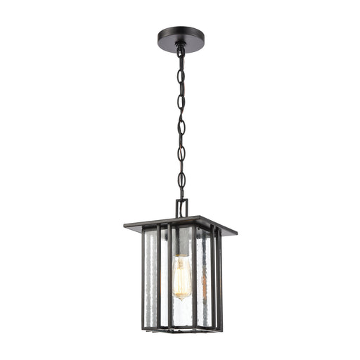ELK Home - 46693/1 - One Light Outdoor Hanging Lantern - Radnor - Matte Black