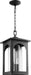 Quorum - 704-9-69 - Three Light Pendant - Harbor - Noir