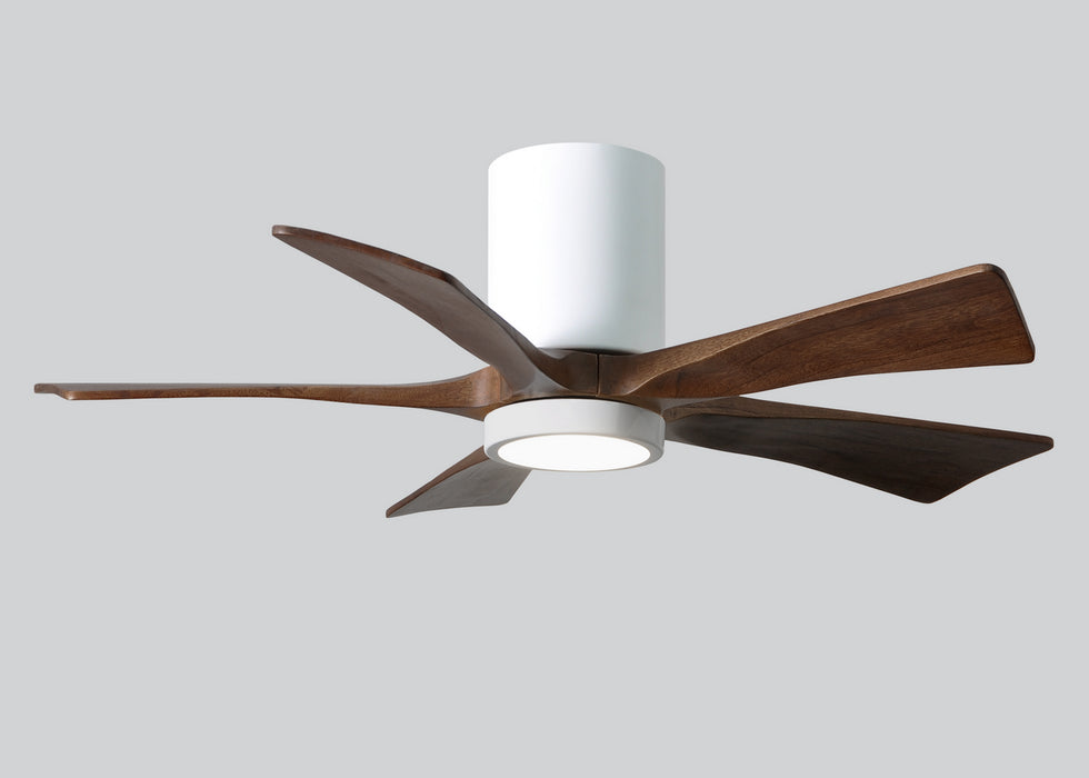42``Ceiling Fan from the Irene collection in Gloss White finish