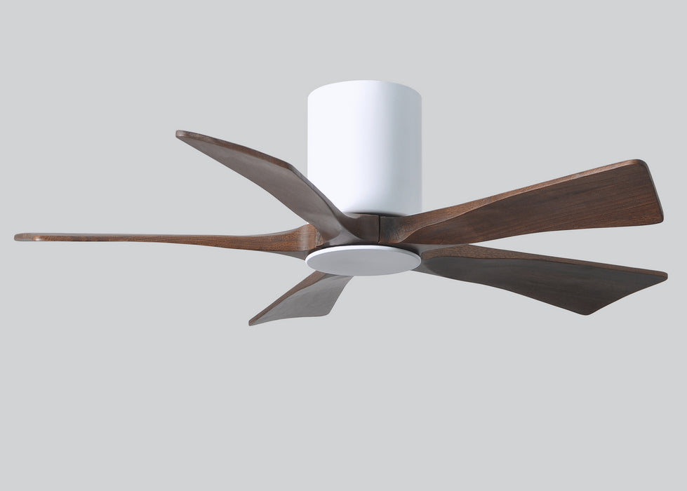 42``Ceiling Fan from the Irene collection in Gloss White finish