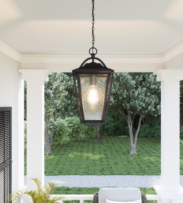One Light Outdoor Hanging Lantern from the Darius collection in Earth Black finish