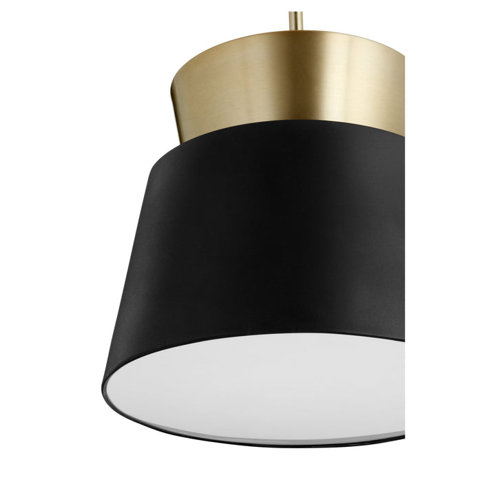 One Light Pendant in Noir / Aged Brass finish
