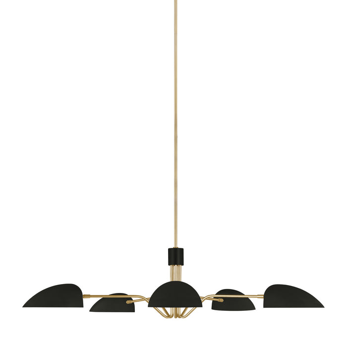 Five Light Chandelier from the JANE collection in Midnight Black finish