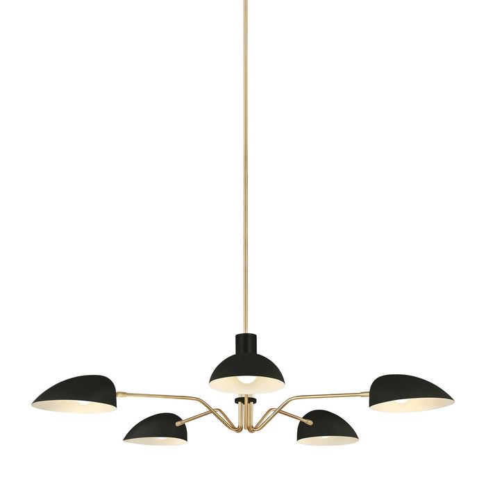 Five Light Chandelier from the JANE collection in Midnight Black finish