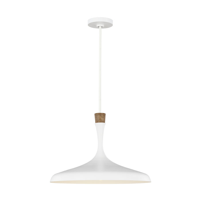 One Light Pendant from the Darwin collection in Matte White finish